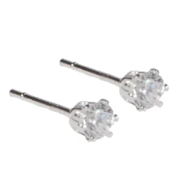 Oorbellen Zilverkleurig Klein