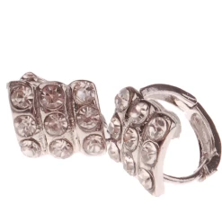 Dames Oorbellen Zilver Met Strass