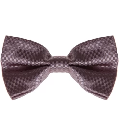 Vlinderstrik Glimmend Grijs Geblokt