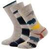 Sokken Jongen - Set Met 3-paar - Grijs/Blauw - Dinos/Effen/Strepen - Ewers