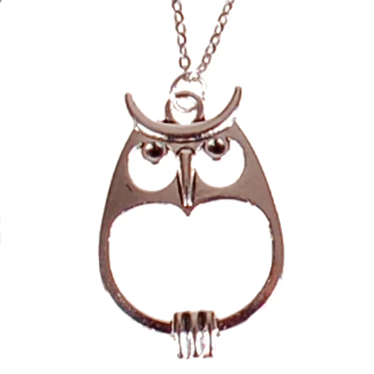 Ketting RVS Zilverkleurig 55cm - Hangertje Uil Zilverkleurig 3,5x2cm