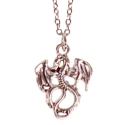 Ketting RVS Zilverkleurig 55cm - Hangertje Draakje Zilverkleurig 2cm