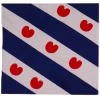 Zakdoek / Bandana Friese Vlag - 54x54cm